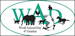   روز جهانی حیوانات گرامی باد  
