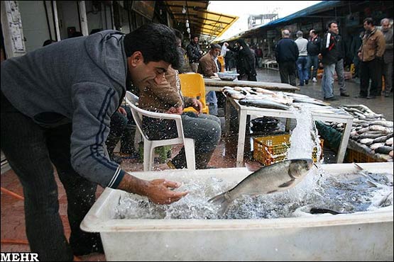 بازار فروش ماهی در ساری