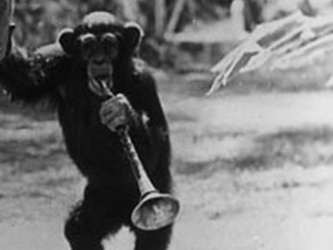 خبر مرگ میمون بازیگر جنجال به پا کرد 