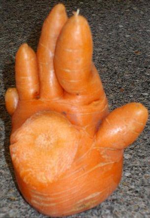 هویجی به شکل دست