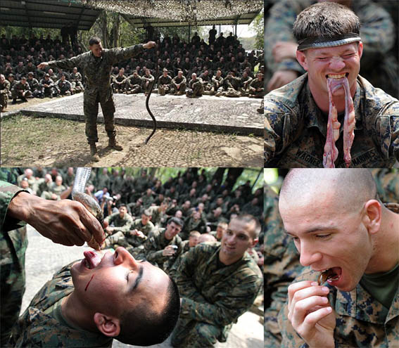 اجبار سربازان آمريكايي به نوشيدن خون و دل و روده مار در تایلند! + عکس  