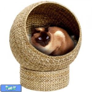 سبد خواب گربه ساخته شده از برگ موز