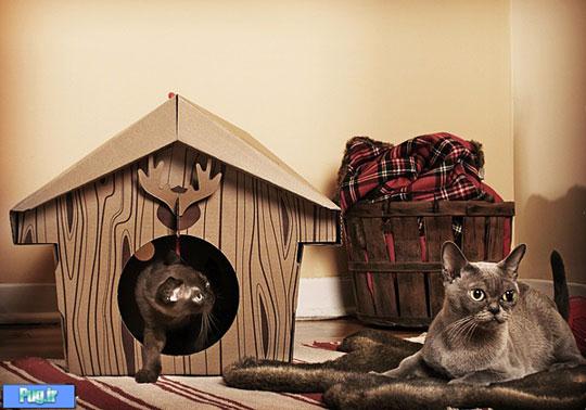 ایده های خلاقانه,Cardboard Cats Habitats