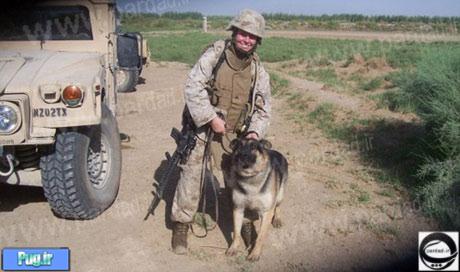 دختری که برای بدست آوردن این سگ ارتش آمریکا هر کاری می کند +تصاویر