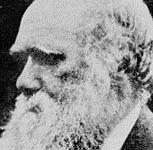 داروین پس از 40 سال از دزدی تبرئه شد 