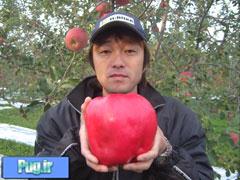 بزرگ ترین سیب جهان :: world's largest apple