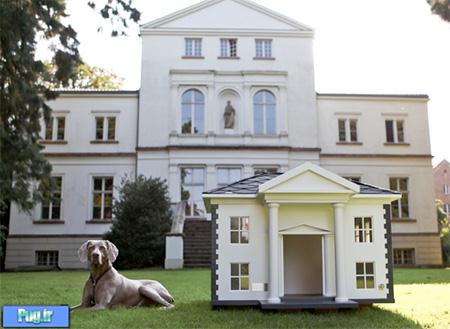 Dog Mansion