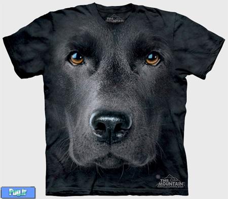 Dog T-Shirt