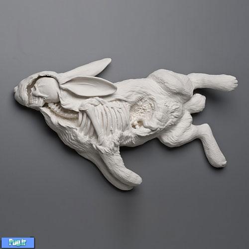 casualty Porcelain Sculptures by Kate D. MacDowell