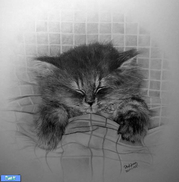 نقاشی های بامداد از گربه ها که باور کردنی نیست 