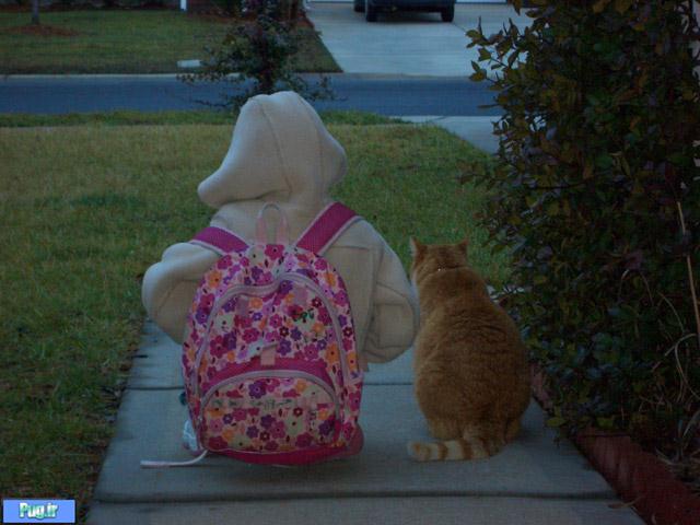 گربه هه هم میخواد بره مدرسه