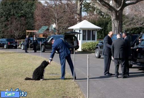 عکس هایی از بو سگ اوباما