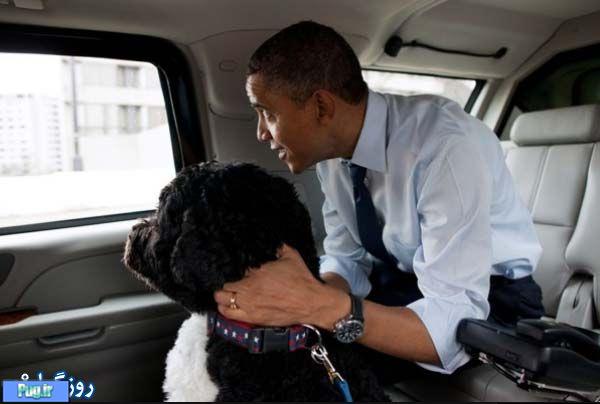 عکس هایی از بو سگ اوباما