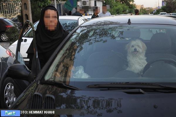 تصاویر: برخورد با رانندگان بدحجاب 