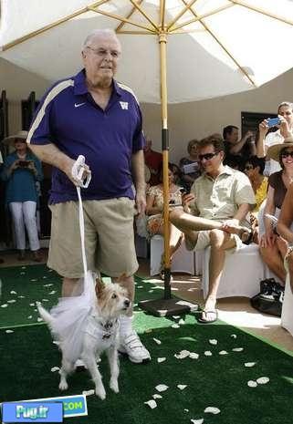 مراسم عروسی دو سگ میلیونر در کالیفرنیا