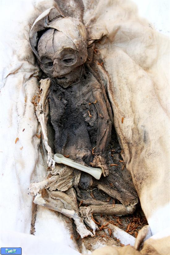 معمای کودکان دفن شده در دیوارهای بم؛ کشف اجساد تازه+تصاویر