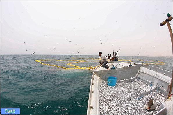 صید ماهی به روش پرسان