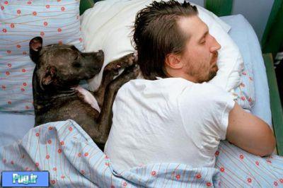 عکس هایی از خوابیدن حیوانات در کنار انسان 
