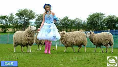 دختری که قصد دارد گوسفندهاي فوتباليست پرورش دهد! +عکس