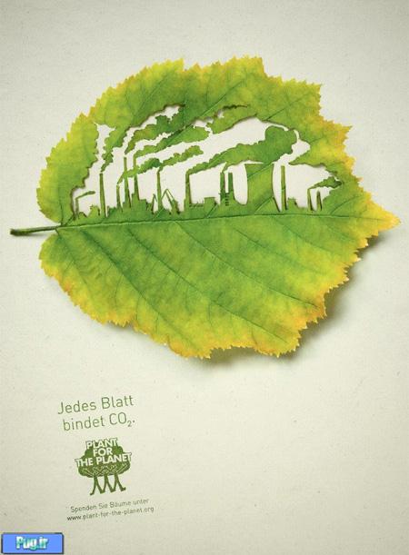 اثر هنری با برگ برای یاد اوری درختان 