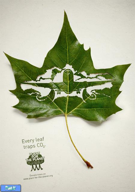 اثر هنری با برگ برای یاد اوری درختان 