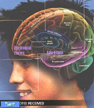 كشف 5 حقيقت مرموز درباره مغز نوجوانان! 