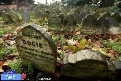 عکس هایی از قبرستان سگ ها در لندن