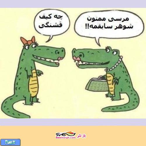 کارتون روز: تمساح ها در معرض نابودی قرار گرفتند!