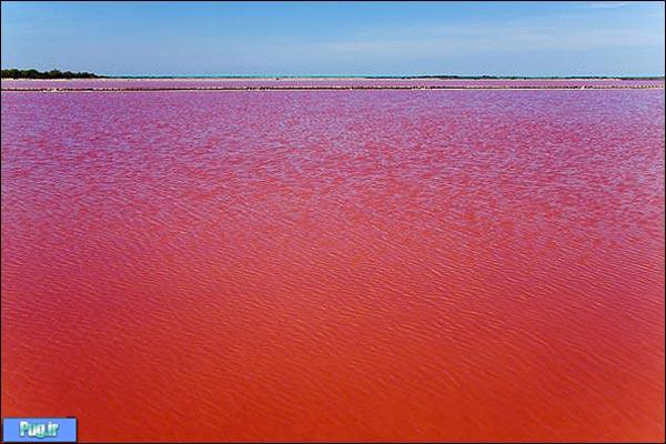 طولانی ترین رودخانه آسیا قرمز شد! +عکس