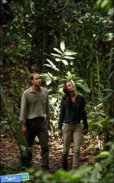 عکس زیبا و رویایی شاهزاد ویلیام و همسرش در جنگلهای مالزی!