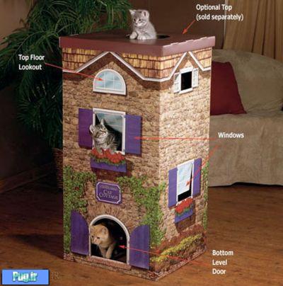 خانه ای رویایی برای گربه ها 