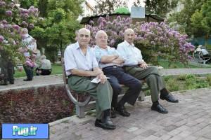 تهرانی ها پیرترین های جهان شدند!