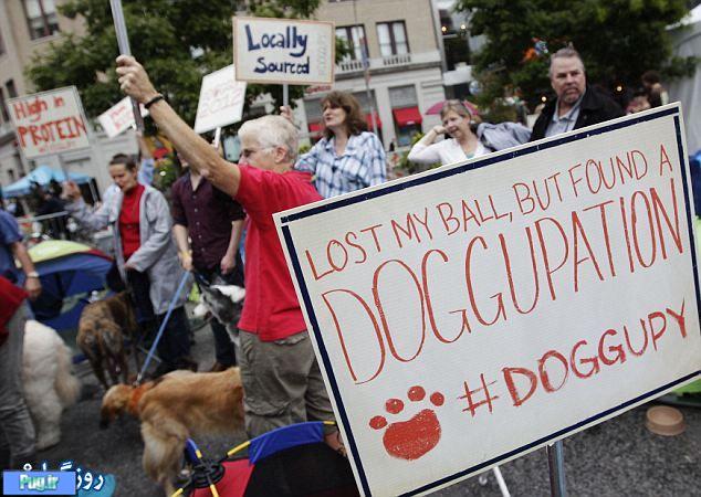 دامنه اعتراضات به سگها هم کشیده شد