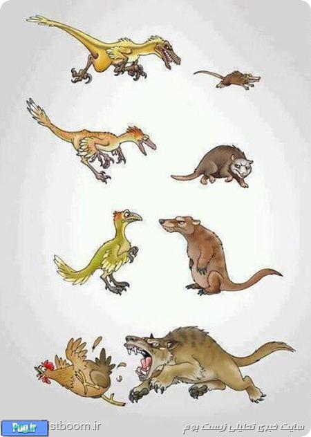 تکامل!/ کاریکاتور