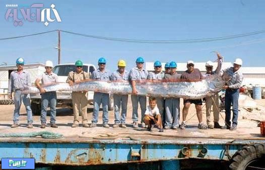  صید ماهی غول پیکر در سواحل مکزیک