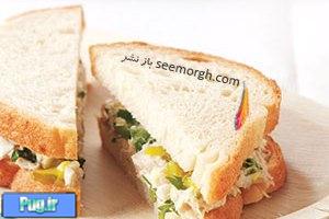 طرز تهیه 10 ساندویچ متنوع برای نهار کودکان