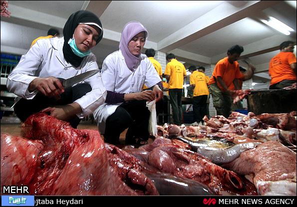 عید قربان در اندونزی 
