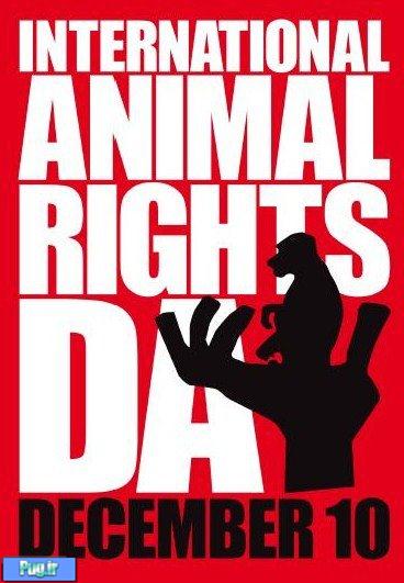   دهم دسامبر, روز جهانی حقوق حیوانات