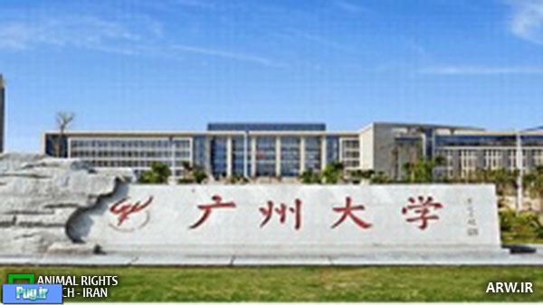حمله مارها به دانشگاهی در چین