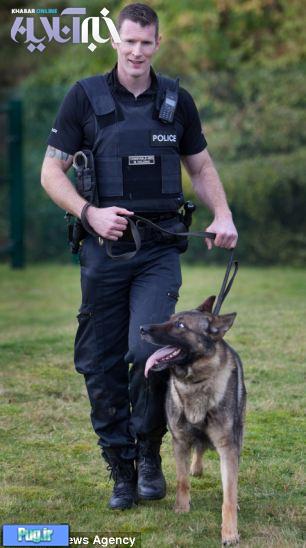  زبده ترین سگ پلیس دنیا