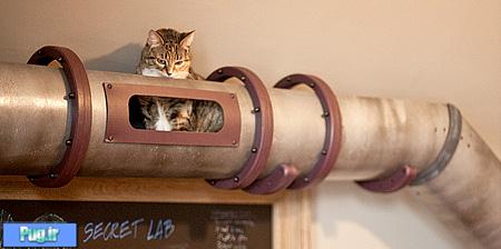 تونلی برای گربه ها 