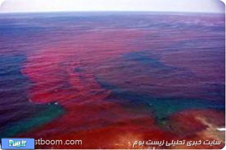 چرا دریاها قرمز می‌شوند؟