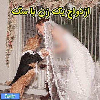ازدواج یك زن با سگش