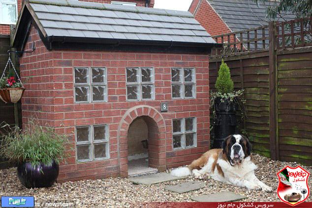 خانه ای برای یک سگ