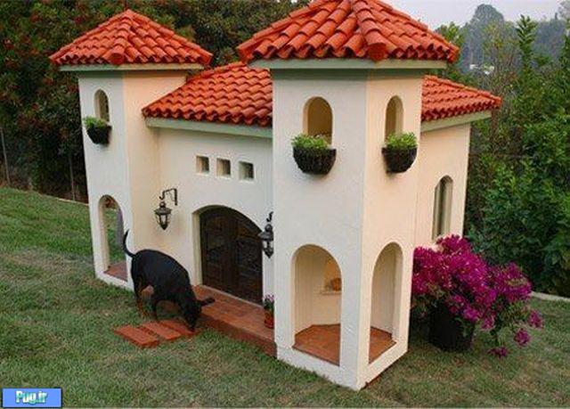 خانه ای رویایی برای یک سگ 