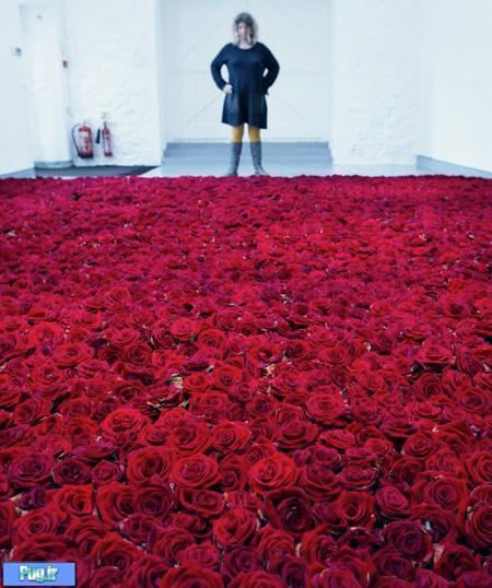 اتاقی با 10 هزار شاخه گل 