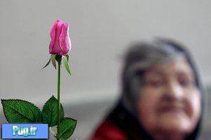 تهران دارای بیشترین جمعیت سالمند در کشور