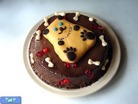 طرز تهیه کیک برای تولد سگ شما 