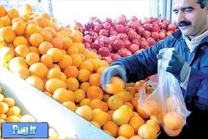 توزیع میوه شب عید آغاز شد/ عرضه پرتقال 1500 تومانی و سیب 1600 تومانی