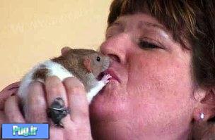 رابطه عاشقانه یک زن با موشها! + عکس